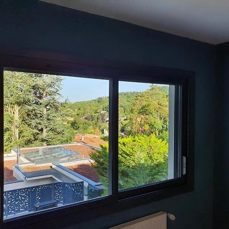 Studio Meuble Saint-Cyr-Au-Mont-D'Or Eksteriør billede