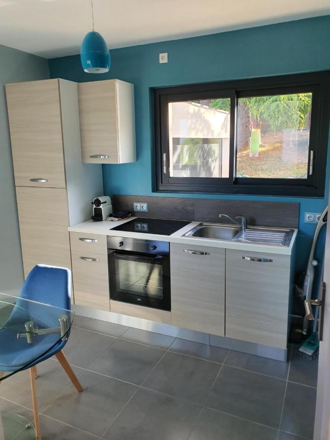 Studio Meuble Saint-Cyr-Au-Mont-D'Or Eksteriør billede
