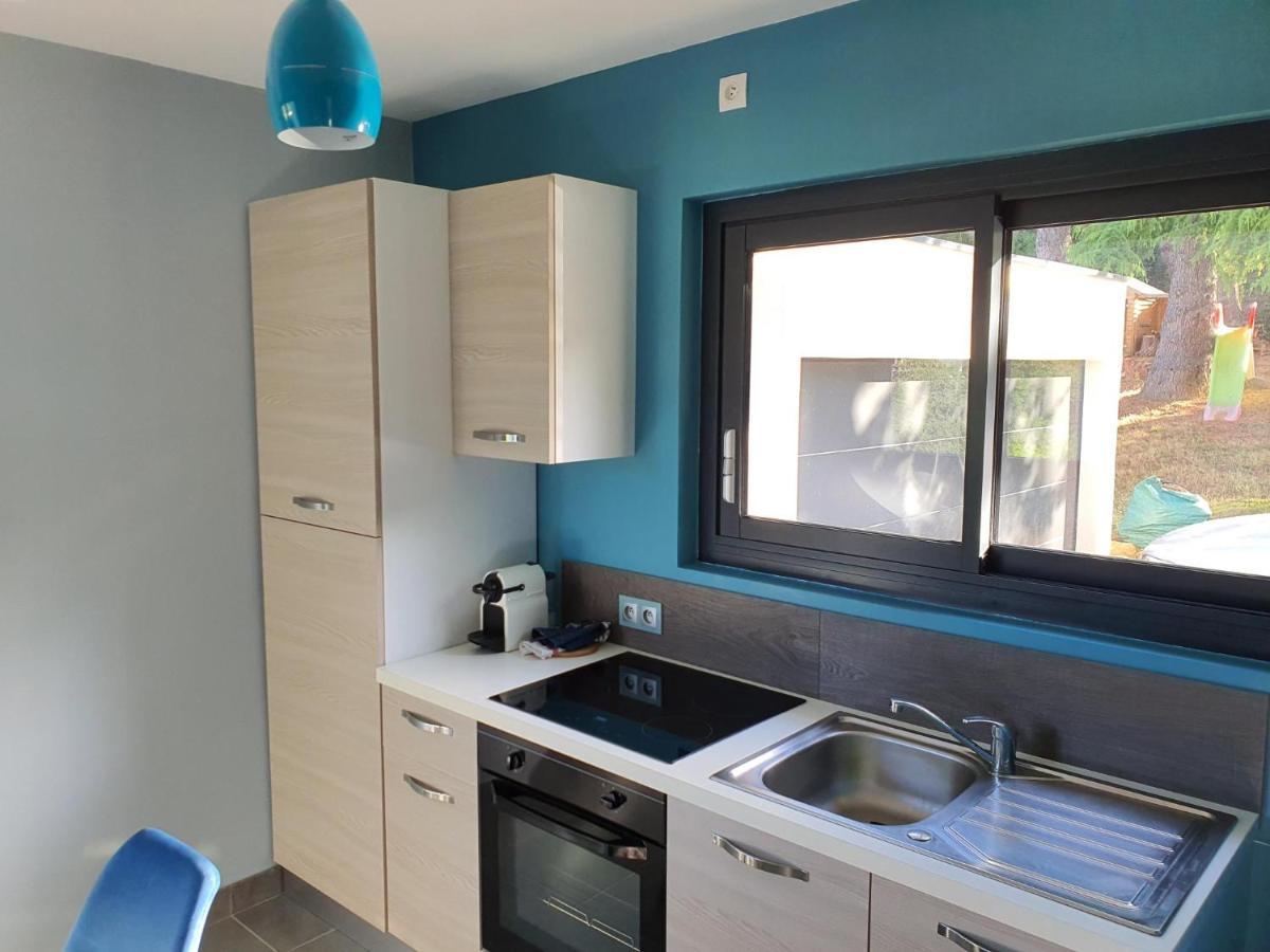 Studio Meuble Saint-Cyr-Au-Mont-D'Or Eksteriør billede